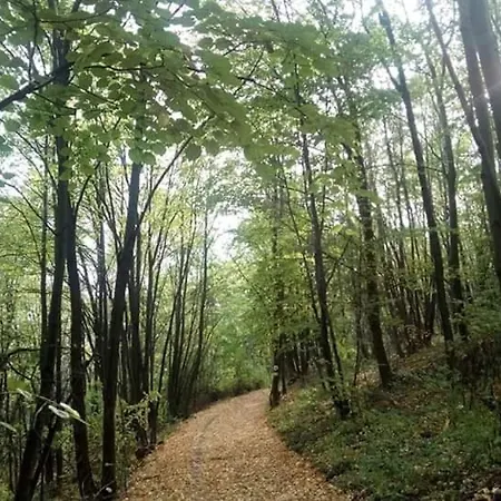 Villa Gorocvet Sremska Kamenica