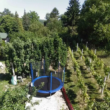 Gorocvet Villa Sremska Kamenica