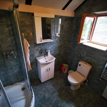 Villa Gorocvet Sremska Kamenica