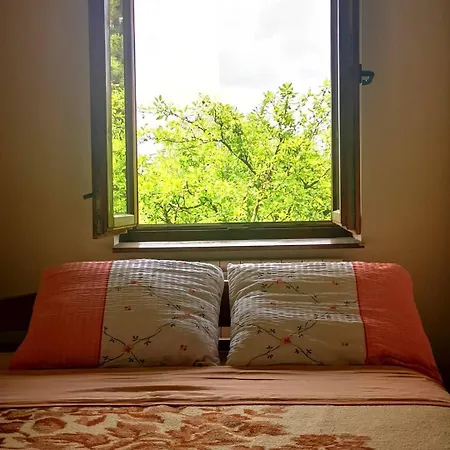 Villa Gorocvet Sremska Kamenica