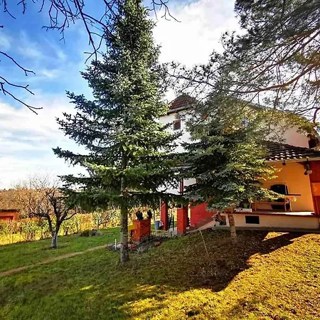 Villa Gorocvet Sremska Kamenica