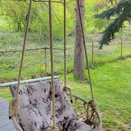 Gorocvet Sremska Kamenica