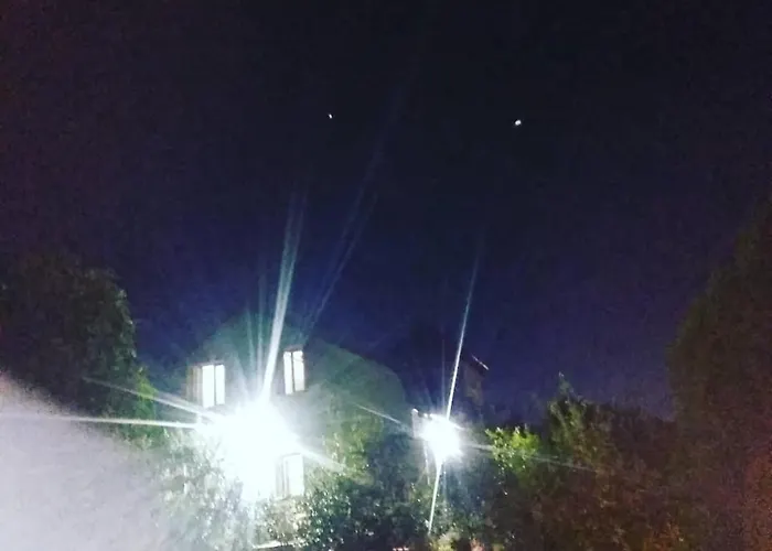 Gorocvet * Sremska Kamenica