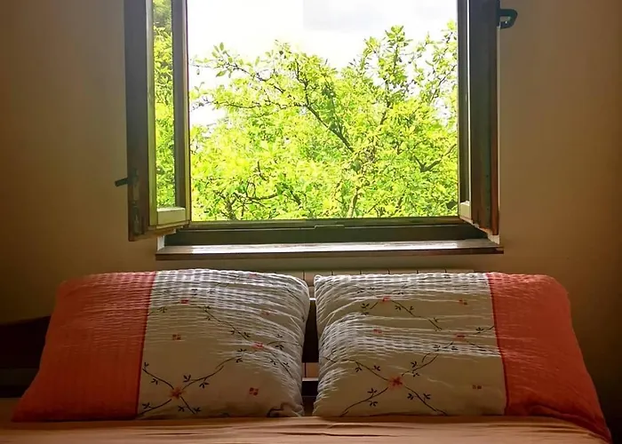 Villa Gorocvet Sremska Kamenica