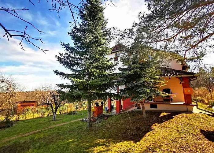 Villa Gorocvet Sremska Kamenica