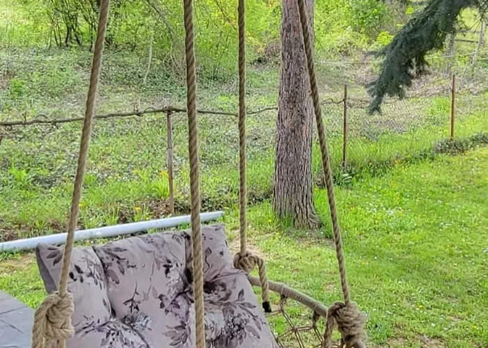 Gorocvet Sremska Kamenica